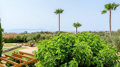 2-4992599aaa