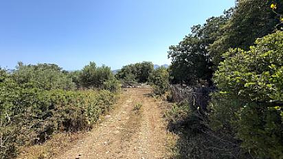 2-5514078aaa