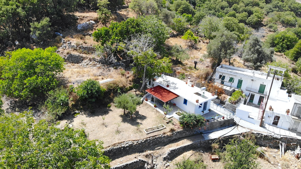 545 Tracey Drive